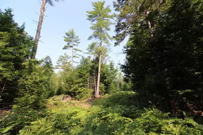 Lot 12 Bear Pond Road, Waterford, ME 04088 - Photo 66