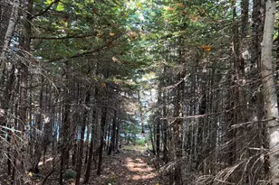 472 Schooner Head Rd, Bar Harbor, ME 04609 - Photo 104