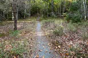 472 Schooner Head Rd, Bar Harbor, ME 04609 - Photo 104