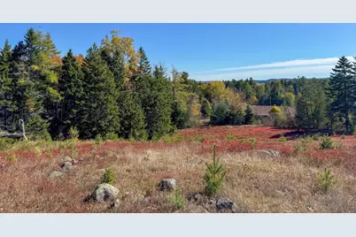 Lot 48B Getchell Lane, Marshfield, ME 04654 - Photo 32
