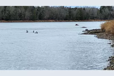 Lot 1C Medway Road Route 157 Road, Mattawamkeag, ME 04459 - Photo 2