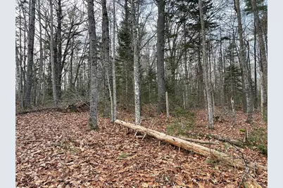 225 Priest Road, Northport, ME 04849 - Photo 12