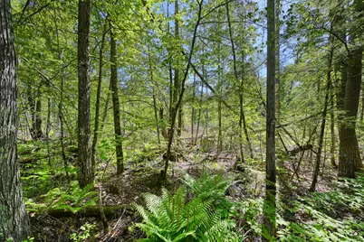 M 25/L 56C Red Oaks Lodge Road, Belgrade, ME 04918 - Photo 8