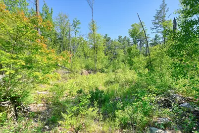 M 25/L 56C Red Oaks Lodge Road, Belgrade, ME 04918 - Photo 6
