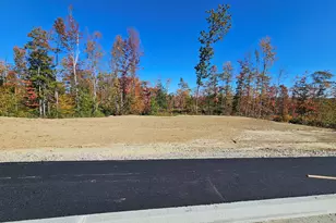 Lot #54 Woodbrey Ln, Standish, ME 04084 - Photo 1