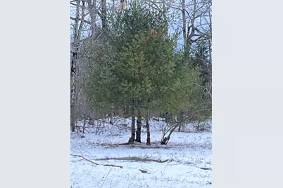 13 S Dondero Road, Chelsea, ME 04330 - Photo 12