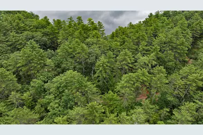 62-B Long Pond Drive, Denmark, ME 04022 - Photo 10