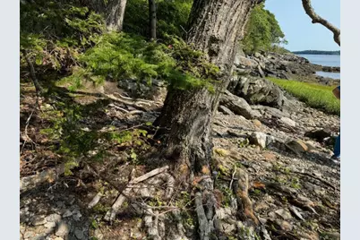 Lot C Long Point Road, Harpswell, ME 04079 - Photo 12