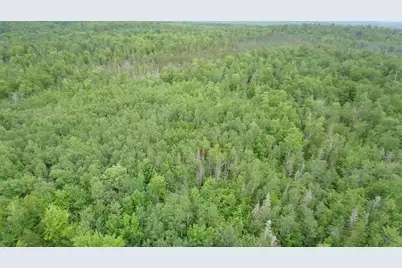 Tbd Trafton Road, Parkman, ME 04443 - Photo 16