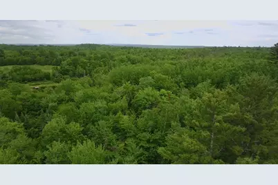 Tbd Trafton Road, Parkman, ME 04443 - Photo 12