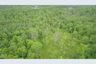 Tbd Trafton Road, Parkman, ME 04443 - Photo 14