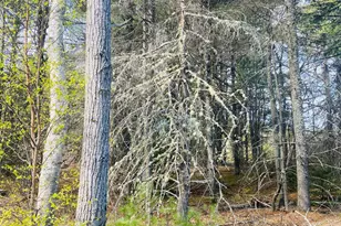 125 Pine Ledge Rd, Bangor, ME 04401 - Photo 1