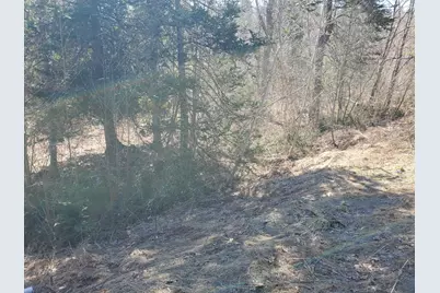 Lot# 47 Indian Hill Lane, Frankfort, ME 04438 - Photo 4