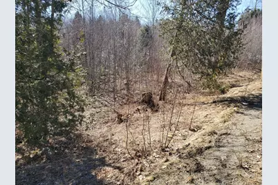 Lot# 47 Indian Hill Lane, Frankfort, ME 04438 - Photo 8