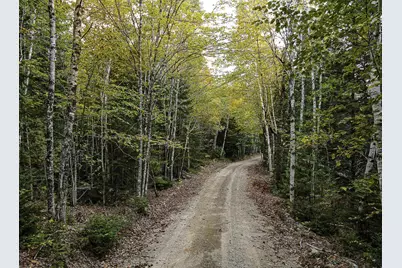 Lot 11-1 Carry Ridge Road, Northfield, ME 04686 - Photo 4