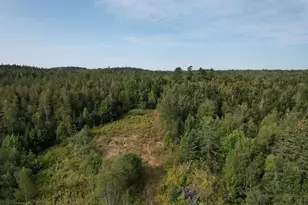 149 Old Eastport Rd, Perry, ME 04667 - Photo 4