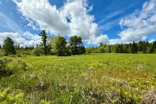 149 Old Eastport Rd, Perry, ME 04667 - Photo 12