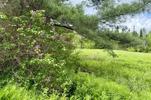 149 Old Eastport Rd, Perry, ME 04667 - Photo 14