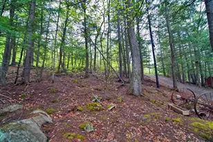 101 S South Shore Rd, Linneus, ME 04730 - Photo 94
