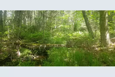 M13, L36, Harland Cunningham Road, Penobscot, ME 04476 - Photo 4