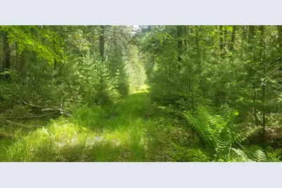 M13, L36, Harland Cunningham Road, Penobscot, ME 04476 - Photo 2