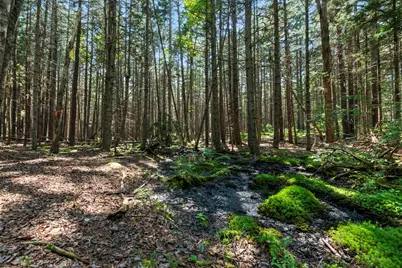 Lot 2B Allen Point Road, Harpswell, ME 04079 - Photo 8