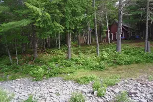 6 Maple Dr, Abbot, ME 04406 - Photo 6