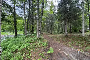 6 Maple Dr, Abbot, ME 04406 - Photo 78