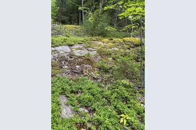 44A Trott Road Road N, Woolwich, ME 04579 - Photo 10
