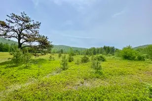 00 Brownfield Rd, Hiram, ME 04041 - Photo 1
