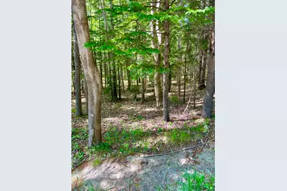 142 Seal Cove Road, Southwest Harbor, ME 04679 - Photo 4