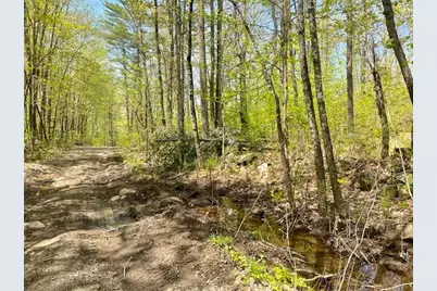 42Ac Ben Gilpatrick Road, Hiram, ME 04041 - Photo 4