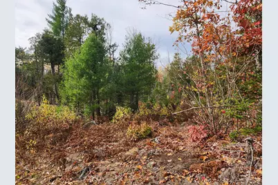 Lot B Blackberry Lane, Buckfield, ME 04220 - Photo 12