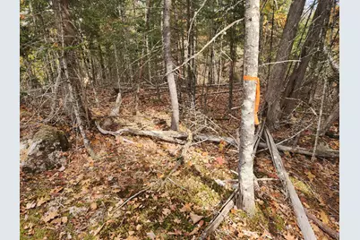 Lot B Blackberry Lane, Buckfield, ME 04220 - Photo 4