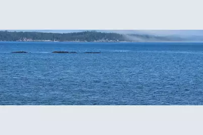 541 Mason Bay Road, Jonesport, ME 04649 - Photo 92