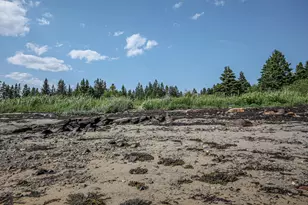 107 Kelley Point Rd, Jonesport, ME 04649 - Photo 78