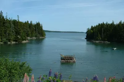 Lot 95 N Duck Cove Road, Roque Bluffs, ME 04654 - Photo 20