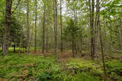 Part Of Map 7 Lot 48-A Nelson Ridge Road S, Washington, ME 04574 - Photo 14
