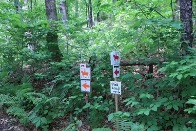 10 South Arm Road, Andover, ME 04226 - Photo 88