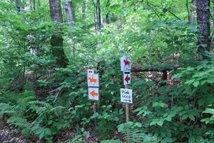 10 S Arm Rd, Andover, ME 04226 - Photo 88