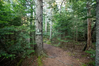 0 Bayview Road #2, Harpswell, ME 04066 - Photo 36