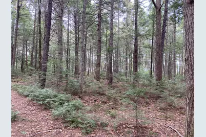 Tbd Depot Road, Lakeville, ME 04487 - Photo 34