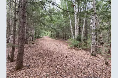 Tbd Depot Road, Lakeville, ME 04487 - Photo 28