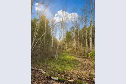 315 Golf Course Road, Newport, ME 04953 - Photo 6