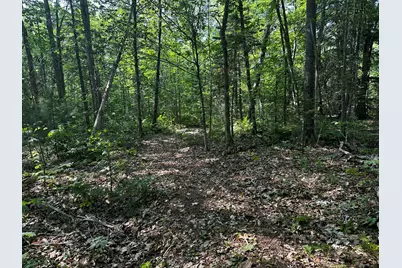 Lot 005 State Route 46 Route, Bucksport, ME 04416 - Photo 8