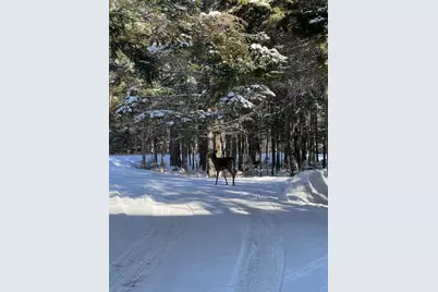 378 Mingo Loop Road, Rangeley, ME 04970 - Photo 64