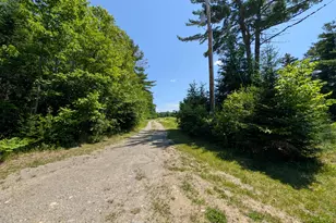 Off Osgood Road, Springfield, ME 04487 - Photo 8