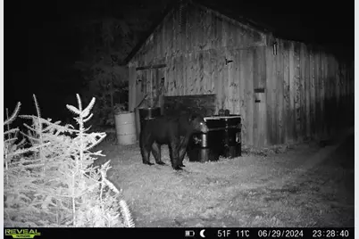 95 Morneault Road, Grand Isle, ME 04746 - Photo 2