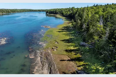 Lot 48 Coffins Neck Road, Lubec, ME 04652 - Photo 6
