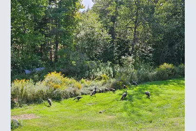 22 Boardman Way, Belfast, ME 04915 - Photo 22
